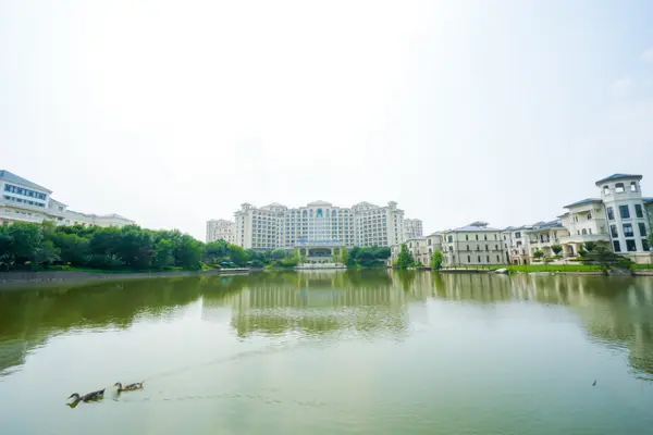 DSC08406_1.JPG